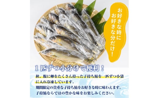 冷凍子持鮎(約1kg・10～14匹) 鮎 冷凍 子持ち鮎 小分け 国産 門川町産 宮崎県産 塩焼き あゆ 川魚 養殖 香魚 【ME-03】【米良水産】