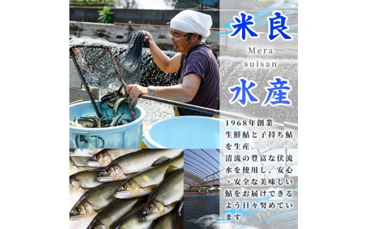 冷凍子持鮎(約1kg・10～14匹) 鮎 冷凍 子持ち鮎 小分け 国産 門川町産 宮崎県産 塩焼き あゆ 川魚 養殖 香魚 【ME-03】【米良水産】