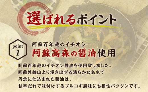 ハラミと具だくさんの阿蘇醤油プルコギ 500g×6袋 約3kg 京都 韓国屋台料理店ナム月山オーナー監修 お肉 肉 牛肉