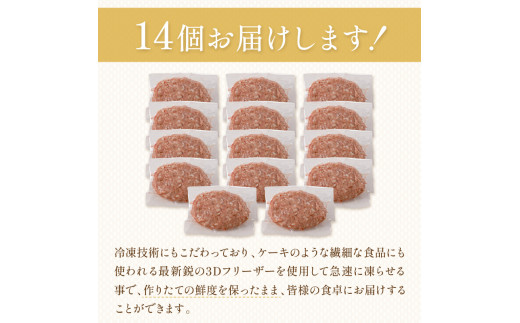 【生産者応援】手ごね熟成生ハンバーグ/老舗肉屋の黄金レシピ【019-0016】