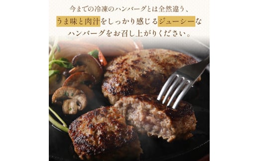 【生産者応援】手ごね熟成生ハンバーグ/老舗肉屋の黄金レシピ【019-0016】