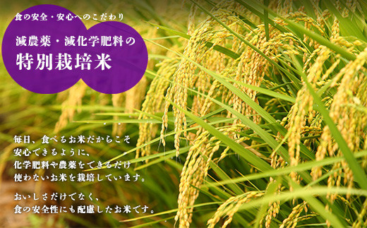 【令和7年産 先行受付】令和７年産（2025年産）　霧島湧水が育む「きりしまのゆめ」コシヒカリ 6kg 減農薬栽培のお米（特別栽培米・無洗米・真空チャック式） TF0664-P00026