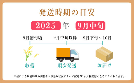 【令和7年産 先行受付】令和７年産（2025年産）　霧島湧水が育む「きりしまのゆめ」コシヒカリ 6kg 減農薬栽培のお米（特別栽培米・無洗米・真空チャック式） TF0664-P00026