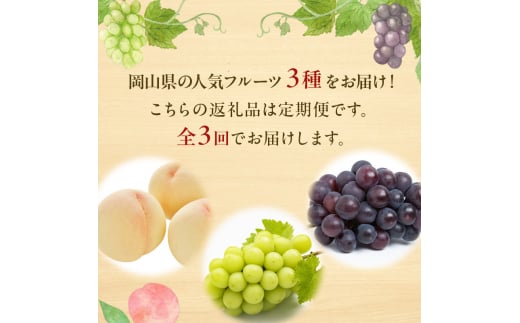 フルーツ 定期便 2024年 先行予約 フルーツ王国 岡山 厳選 果物 （7月 9月 10月）3回コース 桃 もも 葡萄 ぶどう 岡山県産 国産 セット ギフト