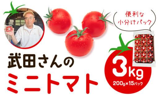 ＜ 先行予約 ＞ 武田さんのミニトマト 3kg 200g × 15パック 《7月中旬‐8月末頃出荷》武田賢一 徳島県 美馬市 ミニトマト 送料無料 野菜 とまと トマト 青果物