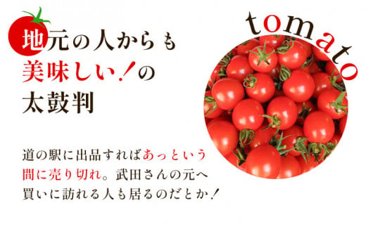 ＜ 先行予約 ＞ 武田さんのミニトマト 3kg 200g × 15パック 《7月中旬‐8月末頃出荷》武田賢一 徳島県 美馬市 ミニトマト 送料無料 野菜 とまと トマト 青果物