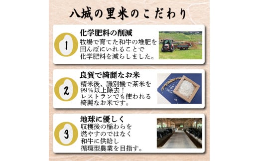 【定期便 6ヶ月】ひのひかり 精米 5kg  計30kg