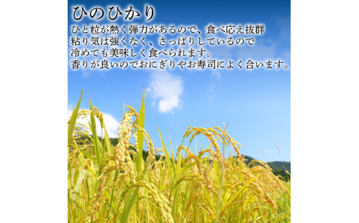 【定期便 6ヶ月】ひのひかり 精米 5kg  計30kg