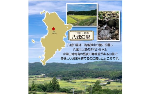 【定期便 6ヶ月】ひのひかり 精米 5kg  計30kg