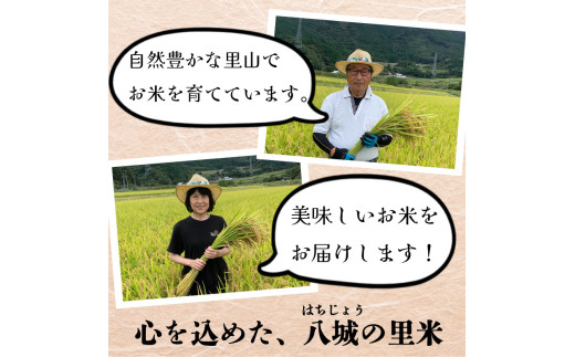 【定期便 6ヶ月】ひのひかり 精米 5kg  計30kg