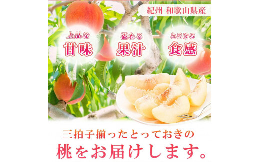 秀品紀州和歌山産の桃約4kg化粧箱入【2025年6月下旬より順次発送】【UT106】