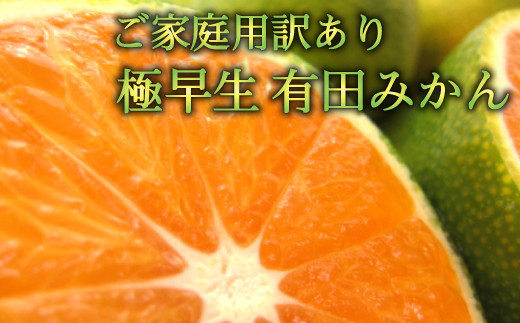 【初秋の美味】有田育ちのご家庭用訳あり濃厚極早生有田みかん　約2kg【サイズ混合】【2023年10月頃から順次発送予定】【ard052B】