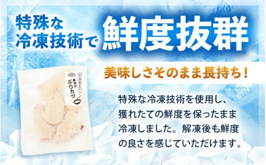 天然！美浜町産「日向ぶり」 ぶりカツ 約900g（約150g × 6袋） [m36-a010]