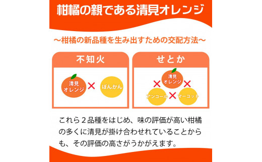 【ご家庭用訳アリ】紀州有田産清見オレンジ　7.5kg【2025年3月下旬以降発送】【先行予約】【UT54】