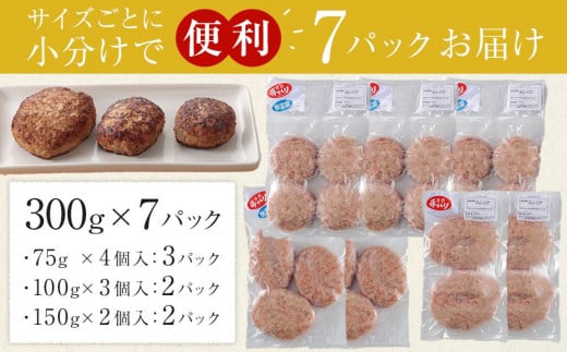 ひかり麦豚　ハンバーグセット サイズ違い 22個 ( 300g × 7パック )