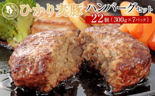 ひかり麦豚　ハンバーグセット サイズ違い 22個 ( 300g × 7パック )