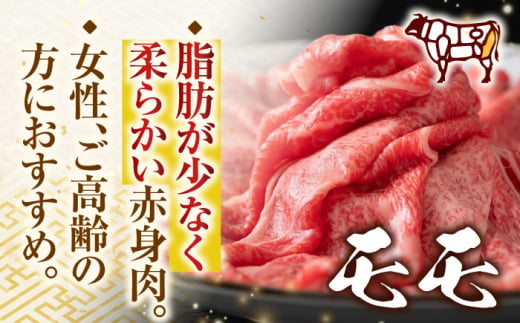 【訳あり】【A4～A5】長崎和牛赤身霜降りしゃぶしゃぶすき焼き用（肩・モモ）600g【株式会社 MEAT PLUS】 [QBS022]