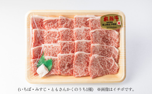 A5飛騨牛希少部位 おまかせ1種 430g いちぼ みすじ ともさんかく【冷凍】冷凍配送 もも 飛騨牛 下呂温泉 おすすめ 牛肉 肉 和牛 赤身 人気 ブランド牛 肉ギフト 国産 贈答品 焼き肉用 ギフト 和牛 25000円