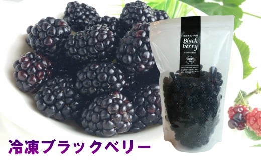 ＜冷凍ブラックベリー1.5kg＞ 高知県 佐川町 フローズン 秀品