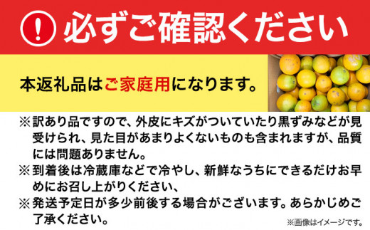 【ご家庭用訳あり】【先行予約】希少な国産バレンシアオレンジ 約7kg 株式会社魚鶴商店《2025年6月下旬-7月上旬出荷》和歌山県 日高町