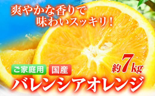 【ご家庭用訳あり】【先行予約】希少な国産バレンシアオレンジ 約7kg 株式会社魚鶴商店《2025年6月下旬-7月上旬出荷》和歌山県 日高町