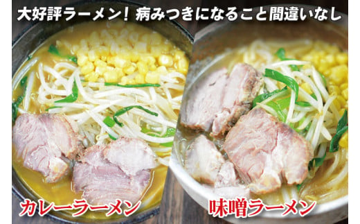 【日時指定必須】「スタミナラーメン日向」の大人気ラーメンセット（スタミナ２、味噌２、カレー２）【ラーメン 麺 スタミナ 冷やし ラーメン カレー 味噌 ご当地ラーメン ご当地グルメ 茨城県 水戸市】（FF-10）