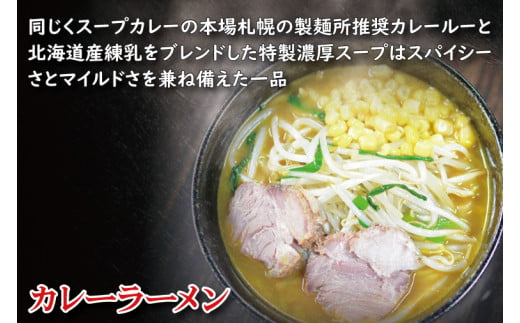 【日時指定必須】「スタミナラーメン日向」の大人気ラーメンセット（スタミナ２、味噌２、カレー２）【ラーメン 麺 スタミナ 冷やし ラーメン カレー 味噌 ご当地ラーメン ご当地グルメ 茨城県 水戸市】（FF-10）