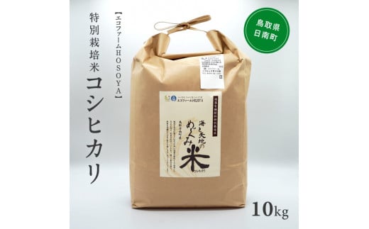 [№5667-0284]新米 令和6年産 海と天地のめぐみ米（コシヒカリ） 白米10kg