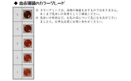 海の秘宝珊瑚：ペンダント17