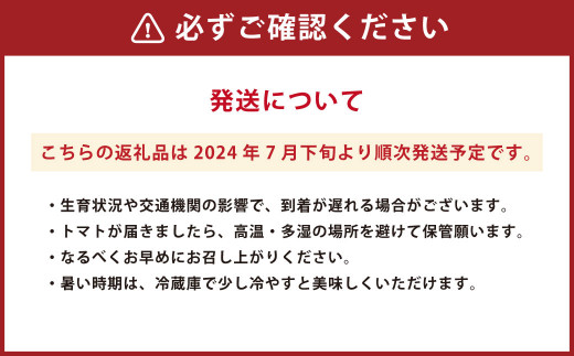 【2024年7月下旬より発送開始】樹上完熟山育ちトマト 約3kg