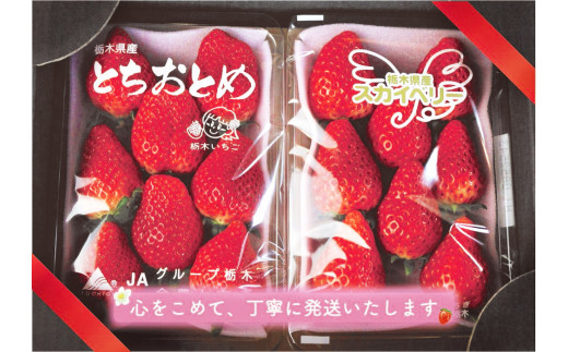 [12月上旬より順次発送予定・秘密にしたい美味しさ] 朝獲れ新鮮とちおとめ、スカイベリーの食べ比べセット 600g｜いちご 苺 フルーツ 果物 産地直送 関農園 先行予約 [0358]