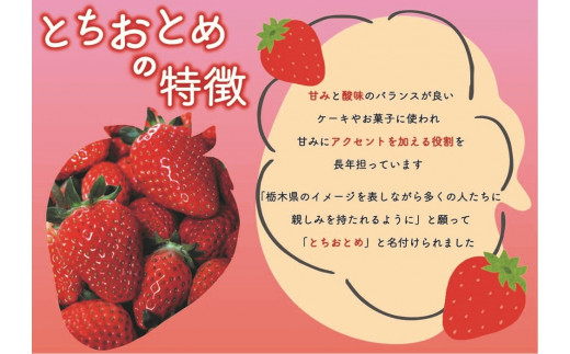 [12月上旬より順次発送予定・秘密にしたい美味しさ] 朝獲れ新鮮とちおとめ、スカイベリーの食べ比べセット 600g｜いちご 苺 フルーツ 果物 産地直送 関農園 先行予約 [0358]