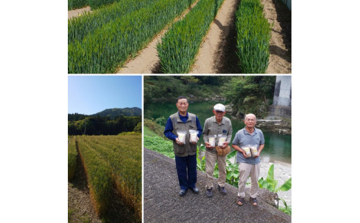 【仕七川育ちのもち麦 7,600g】清流と綺麗な土が育て、イナキ干しで仕上げた美味しいもち麦
※着日指定不可