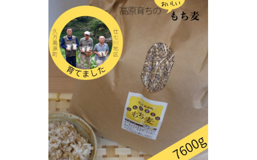 【仕七川育ちのもち麦 7,600g】清流と綺麗な土が育て、イナキ干しで仕上げた美味しいもち麦
※着日指定不可