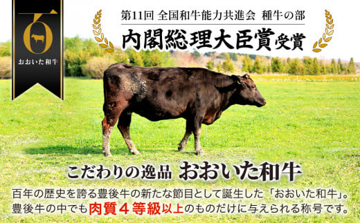 おおいた和牛 ももスライス 700g 牛肉 和牛 豊後牛 ブランド牛 赤身肉 焼き肉 焼肉 バーベキュー 大分県産 九州産 津久見市 国産 送料無料