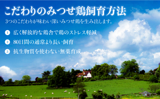 お店でダントツ人気のこだわりつくね！【鶏料理専門店で１番人気】みつせ鶏つくね30個セット【炭寅コーポレーション】 [FCI010]