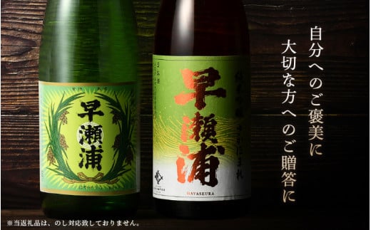 【早瀬浦】純米吟醸 さかほまれ 1800ml × 1本 ＆ 本醸造 1800ml× 1本 セット【飲み比べ 日本酒 地酒 福井 美浜 早瀬 フルーティ 男酒 硬水 ミネラル 希少 ご褒美 家飲み】[m16-b009]