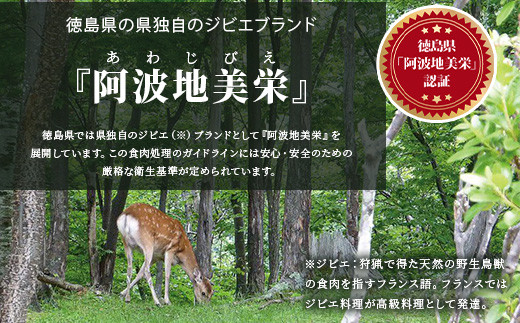 【阿波地美栄】徳島県産 二ホンジカ 鹿ロース肉 ※すじなし（400g） [徳島 那賀 ジビエ じびえ 鹿 鹿肉 おかず 鹿ロース 鹿ロース肉 ロース肉 ロース 焼肉 BBQ バーベキュー お試し ヘルシー 国産 おすすめ]【NH-20】