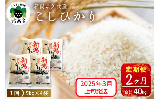 【2025年3月上旬発送】【定期便】令和6年産 新潟県矢代産コシヒカリ20kg(5kg×4袋)×2回（計40kg）