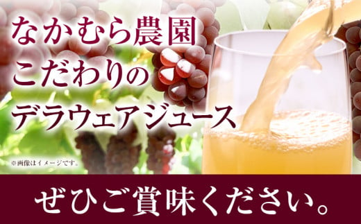 デラウェア ジュース 720ml 6本 有限会社なかむら農園《30日以内に出荷予定(土日祝除く)》大阪府 羽曳野市 ジュース 飲料品 ドリンク ぶどう ブドウ 葡萄 送料無料