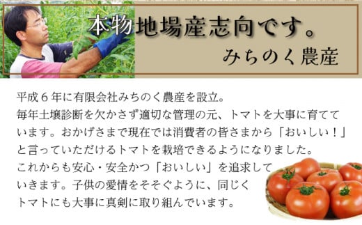 アイラブ七戸トマトジュース C【１０００ｍｌ×１２本】【トマト農家 無添加 100% りんか409 果汁 ストレート びん】【386969】