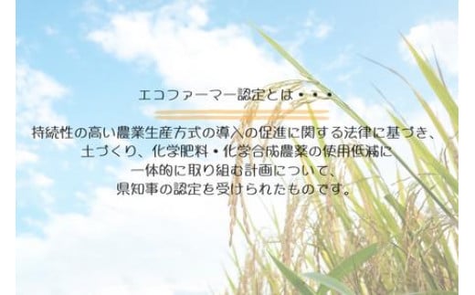  ＼令和6年産 新米／ 東庄町産【エコファーマー認定】コシヒカリ 玄米10kg 