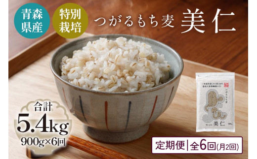 [青森県産もち麦・特別栽培] (農薬・化学肥料不使用) つがるもち麦 美仁 900g《定期便/全6回/1ヶ月に2回お届け》｜津軽 食物繊維 [0402]