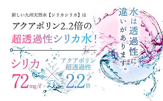 九州天然水 シリカシリカ 500ml×48本 天然水 シリカ 軟水 ミネラル 水 飲料水 美容 備蓄 防災 大分県 玖珠町 名水百選 湧水 ナチュラルミネラルウォーター コラーゲン ケラチン 生成 サポート シリカ含有 72mg/l 国内有数 シリカ水 アクアポリン 透過性 秋田県立大学 名誉教授 北川