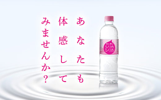 九州天然水 シリカシリカ 500ml×48本 天然水 シリカ 軟水 ミネラル 水 飲料水 美容 備蓄 防災 大分県 玖珠町 名水百選 湧水 ナチュラルミネラルウォーター コラーゲン ケラチン 生成 サポート シリカ含有 72mg/l 国内有数 シリカ水 アクアポリン 透過性 秋田県立大学 名誉教授 北川