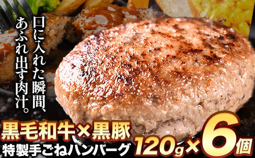 黒毛和牛×黒豚使用！九州うまれの特製手ごねハンバーグ 120g×6個 計720g《30日以内に出荷予定(土日祝除く)》生ハンバーグ 一つずつ個包装 MK エム・ケイ食品