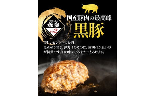 黒毛和牛×黒豚使用！九州うまれの特製手ごねハンバーグ 120g×6個 計720g《30日以内に出荷予定(土日祝除く)》生ハンバーグ 一つずつ個包装 MK エム・ケイ食品