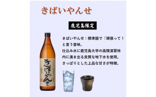 ＜本格焼酎＞南之方・きばいやんせ＜鹿児島限定＞ 900ml×2本 A2-5【1551085】