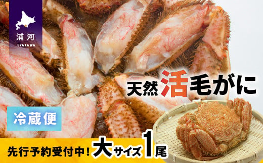 「活」の状態でお届けしますので、茹でて食べるのはもちろん、お刺身や鍋の具材としてもおすすめです！