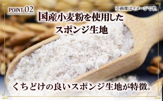 【全6回定期便】訳ありカットロールケーキ チョコ 1kg(500g×2) ケーキ けーき デザート スイーツ クリーム チョコレート クリスマス パーティ デコレーション スポンジ 生地 訳アリ 冷凍 定期便 福岡 広川町 / イートウェル株式会社 [AFAK017]